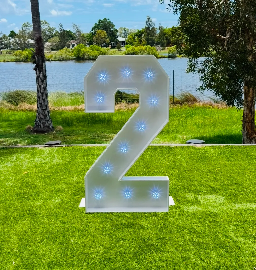 Light Up Numbers: 0-9 Available