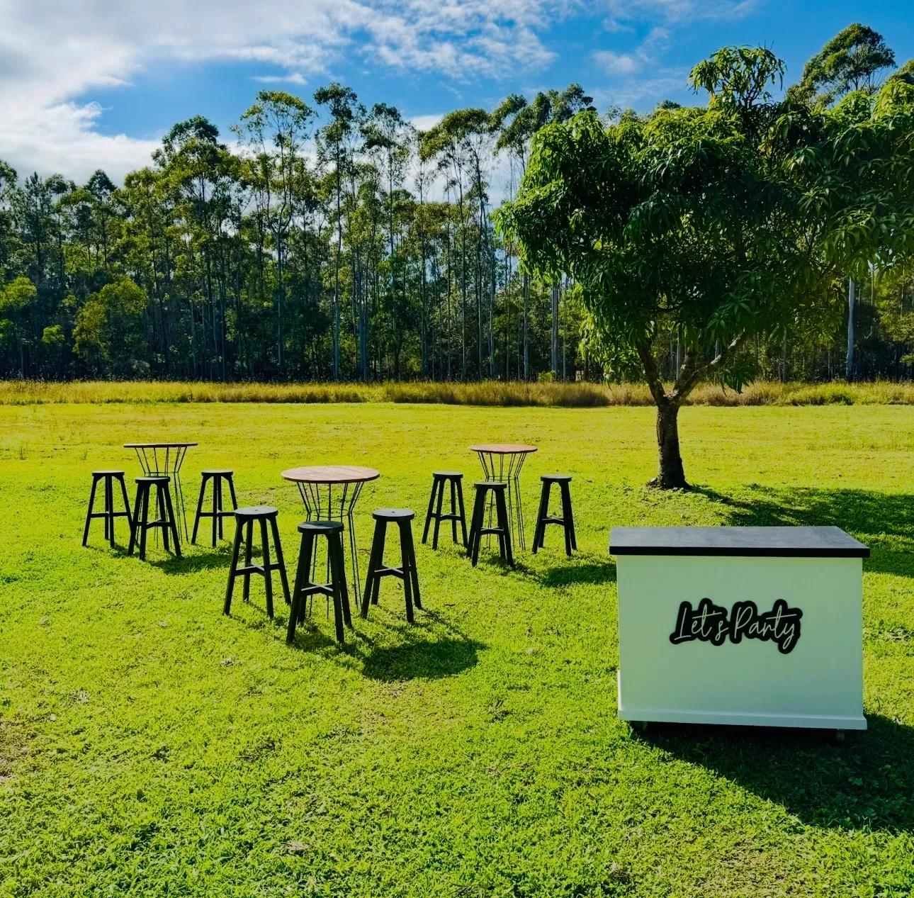 Bar & Seating 
