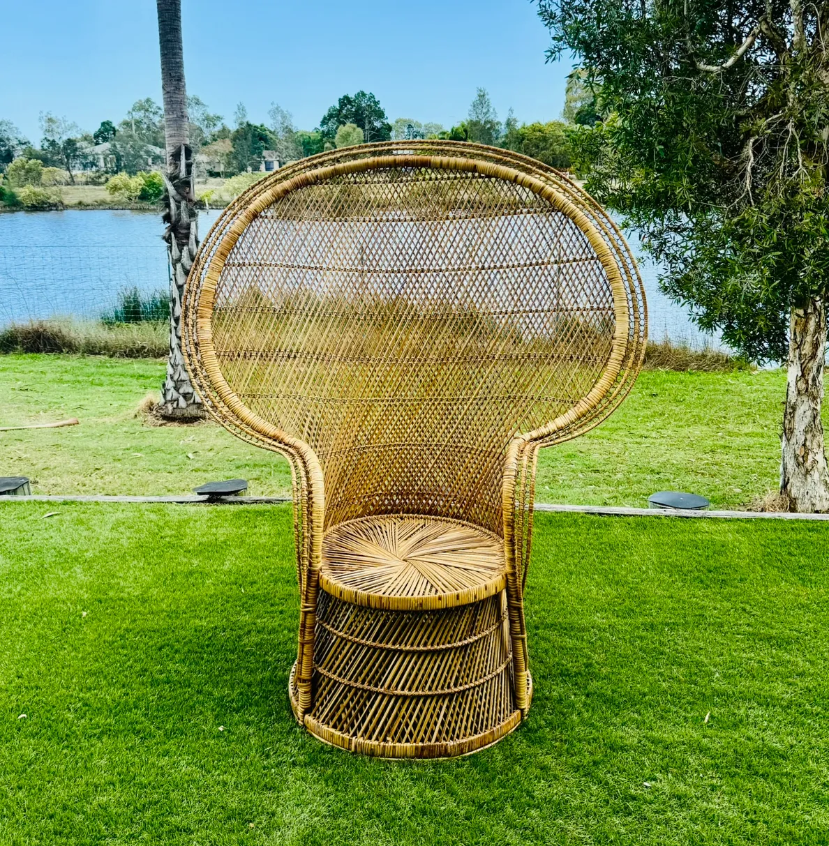 Rattan Peacock Chair 