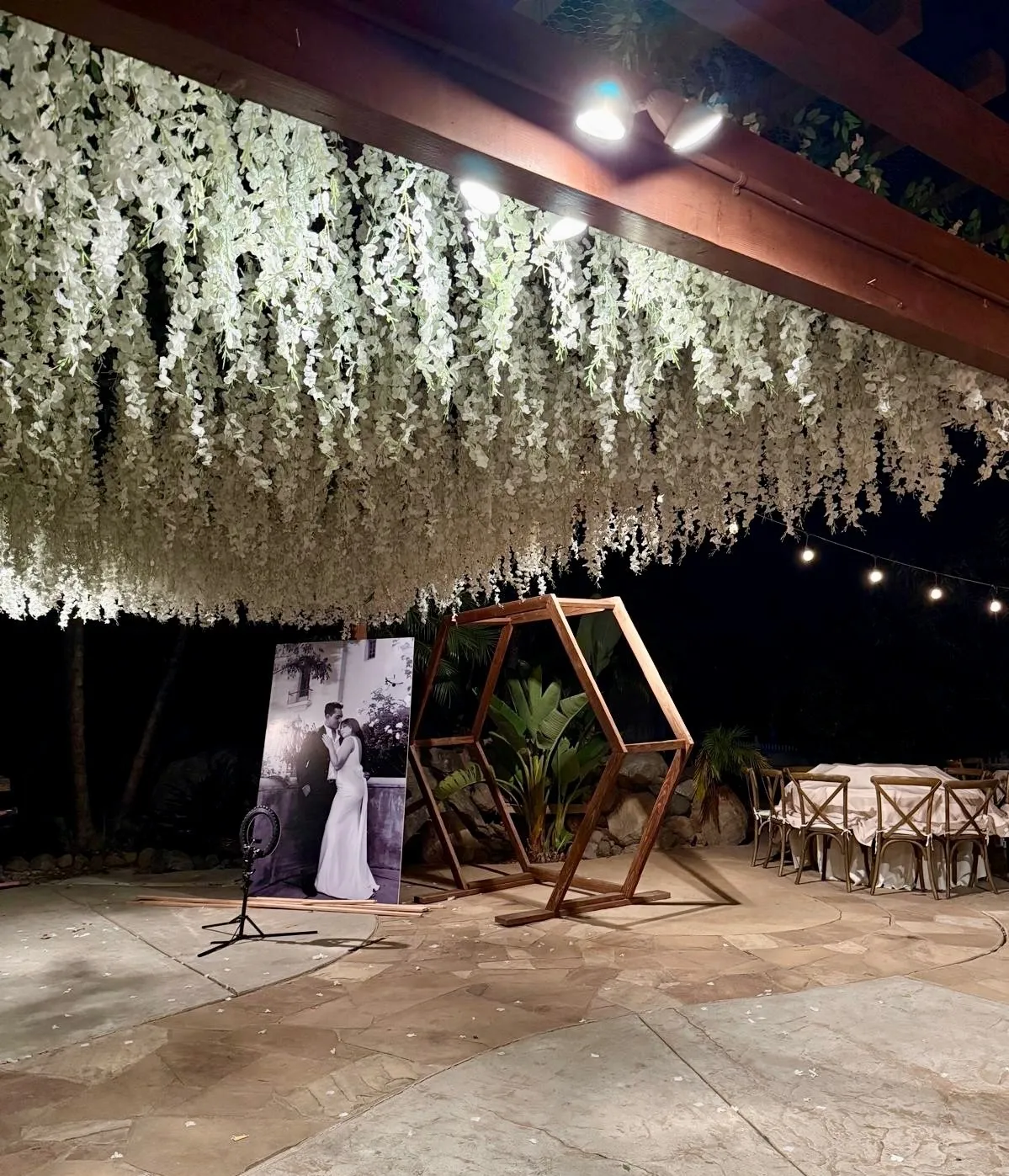 Wisteria Ceiling 