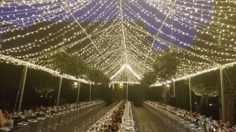 Twinkle Lights