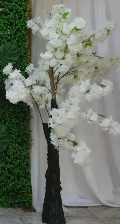 Cherry Blossom 4' de alto