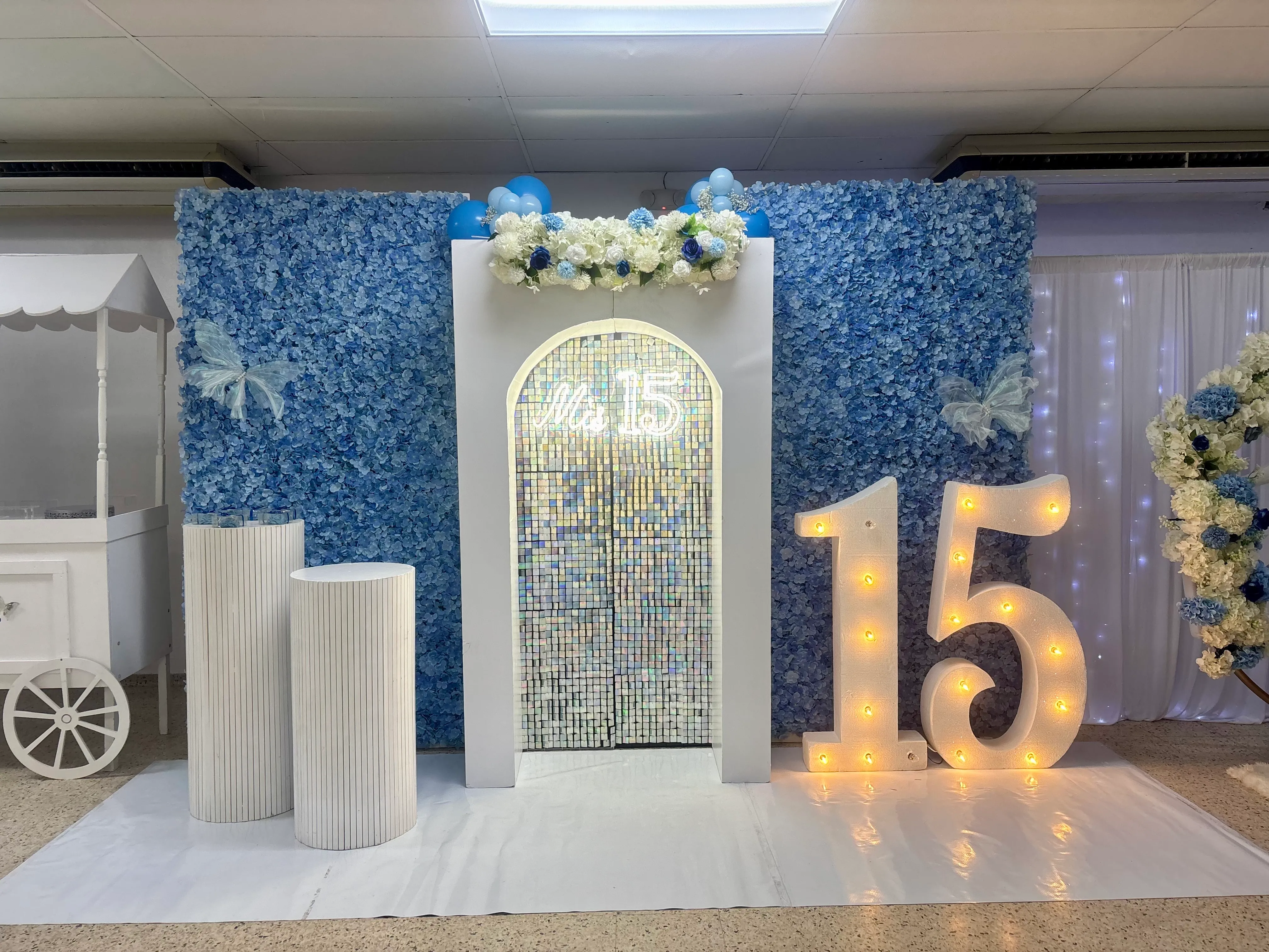 Número 15