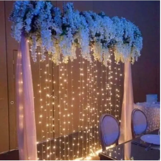 Cortina de Luces Led 10' x 10'