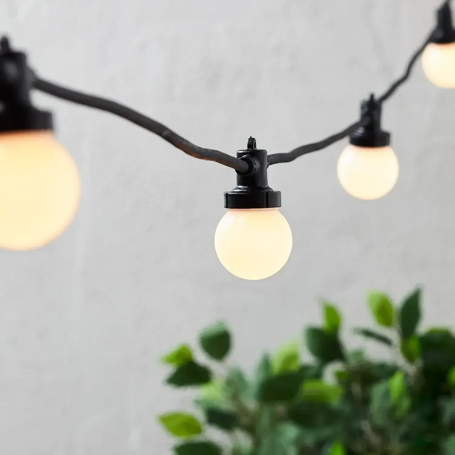 Festoon & Fairy Lights