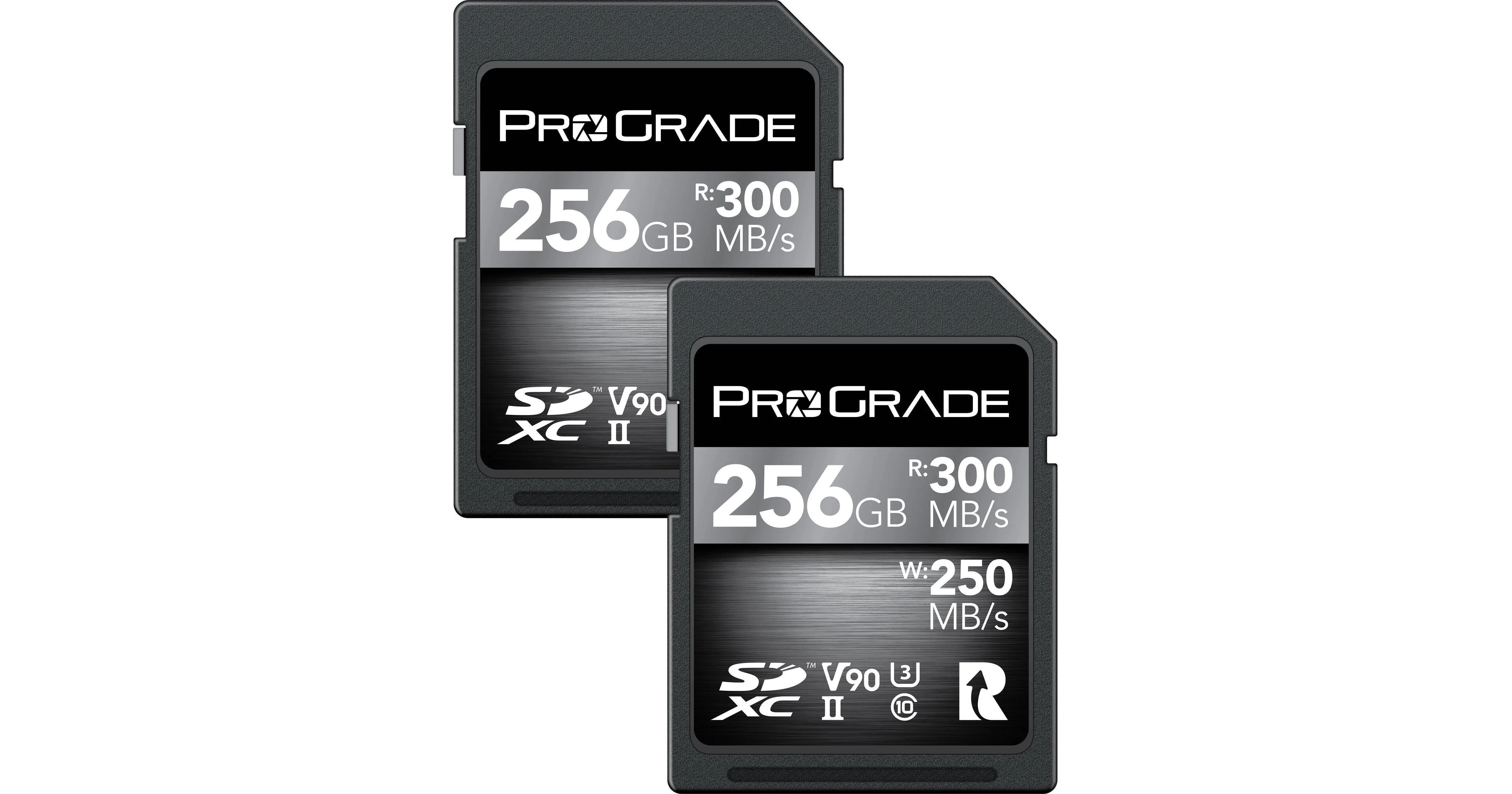 ProGrade 256 SD V90