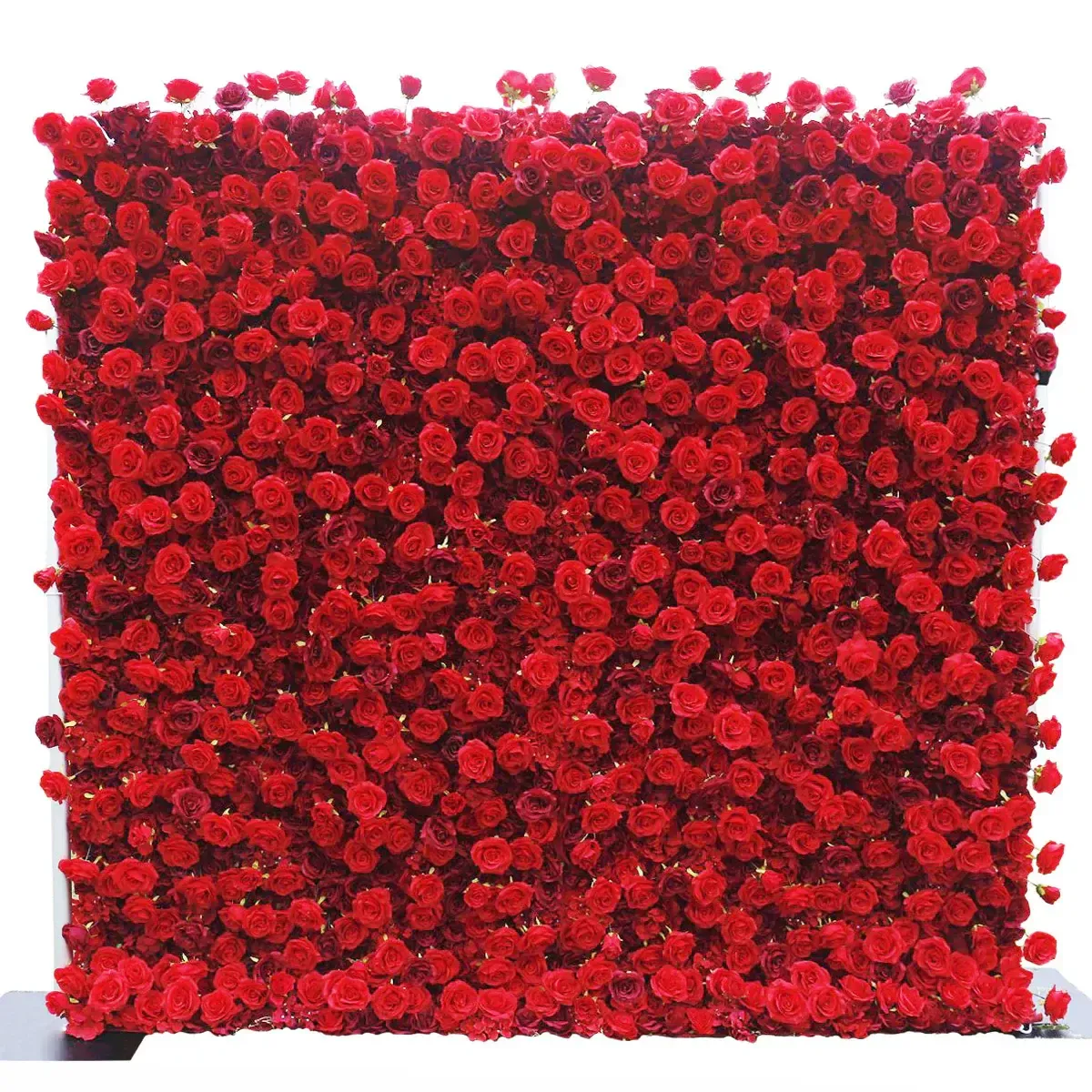 Premium Red Flower Wall