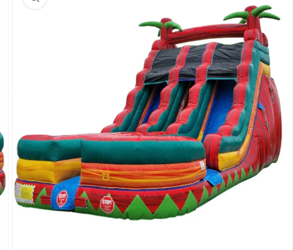 18' Dual Lane Fire Dry slide