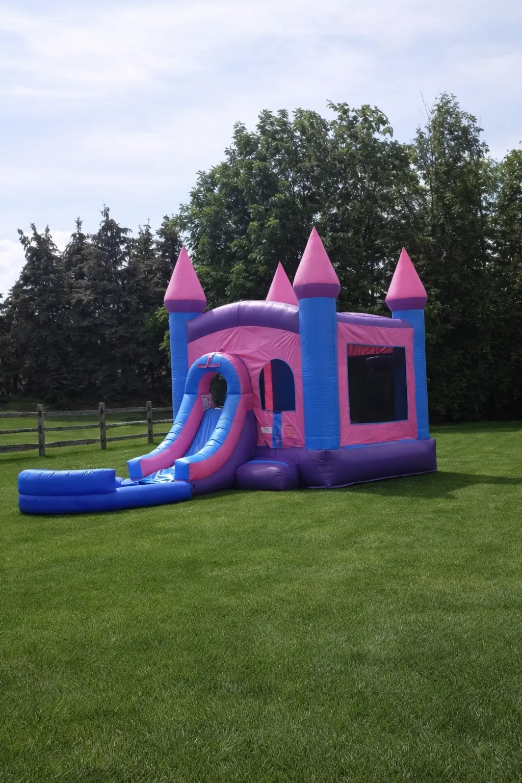 Purple and Pink Castle 