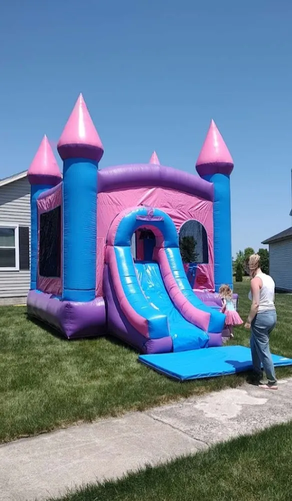 Purple and Pink Castle 