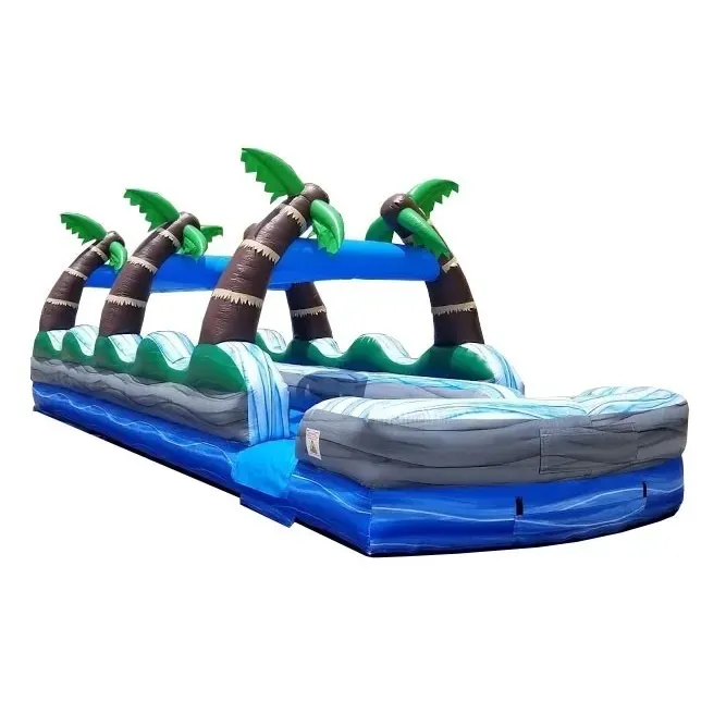 Inflatable 2  Lane Water Slide