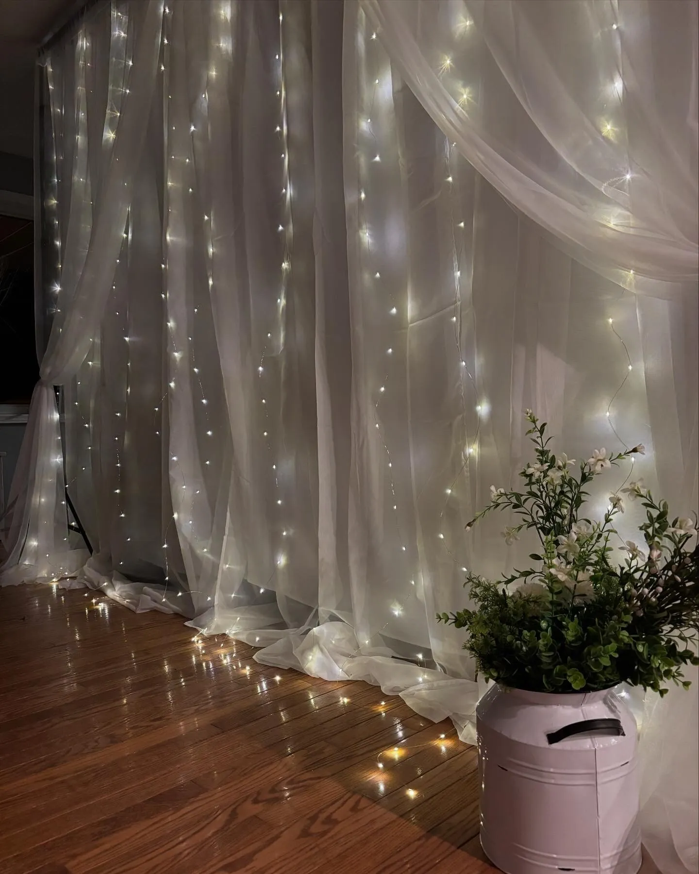 Shear Curtain and Twinkle Light Backdrop