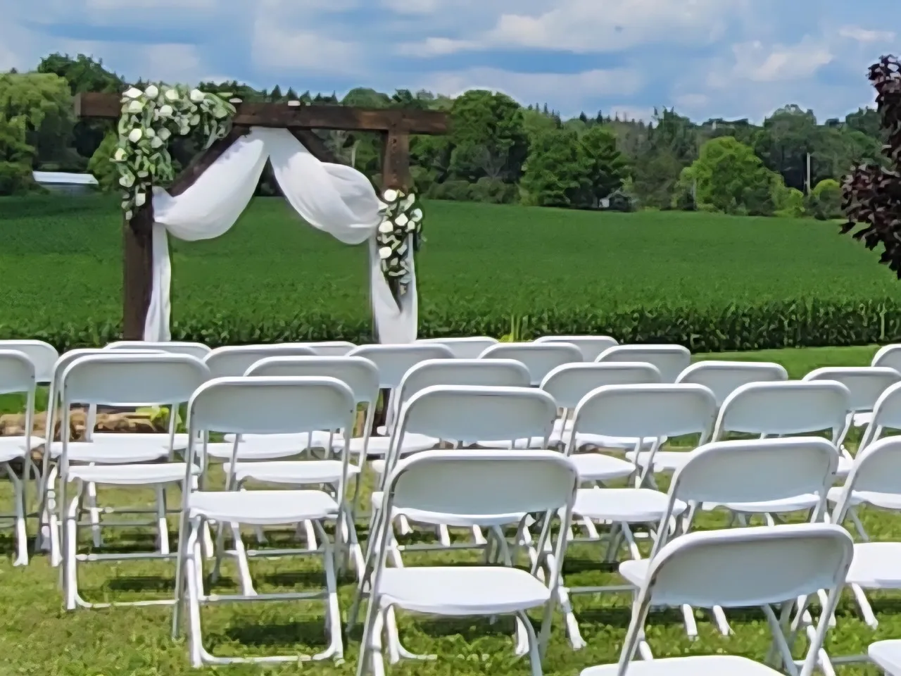 Wedding Arbour