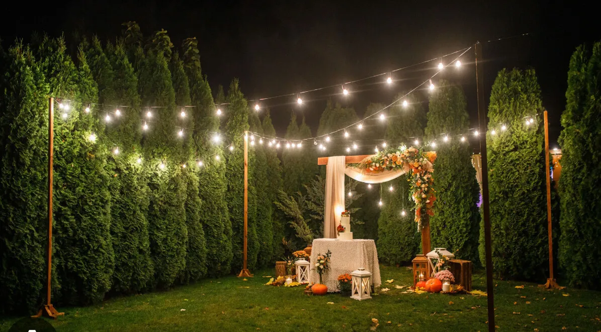 Self Standing Lighting Kit