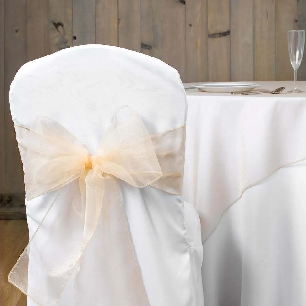 CANTALOUPE  ORGANZA  SASH 8''X108''