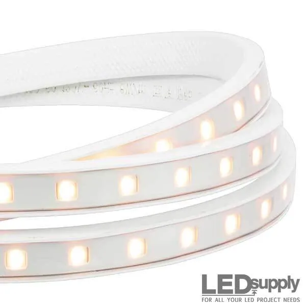 LED Flexible Lights