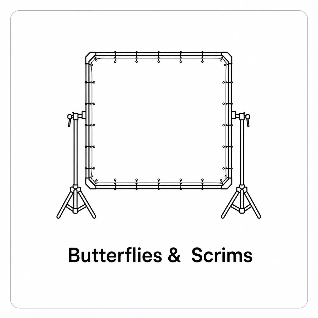 Butterflies &  Scrims