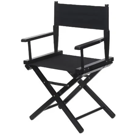 Director's Chair Low