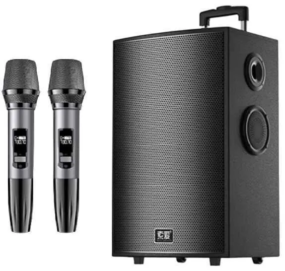 Portable Bluetooth Speaker with 2 Wireless Microphones
