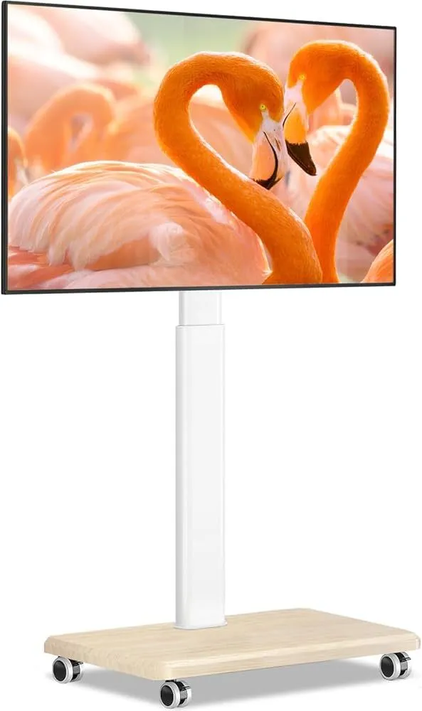 65 Inch TV on Stand - Repeater Screen