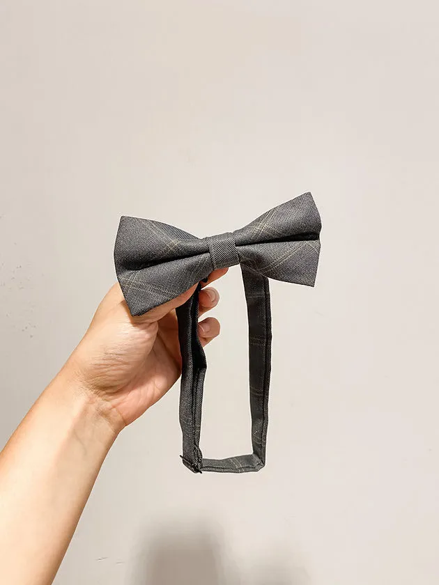 灰杏格紋煲呔 (3)