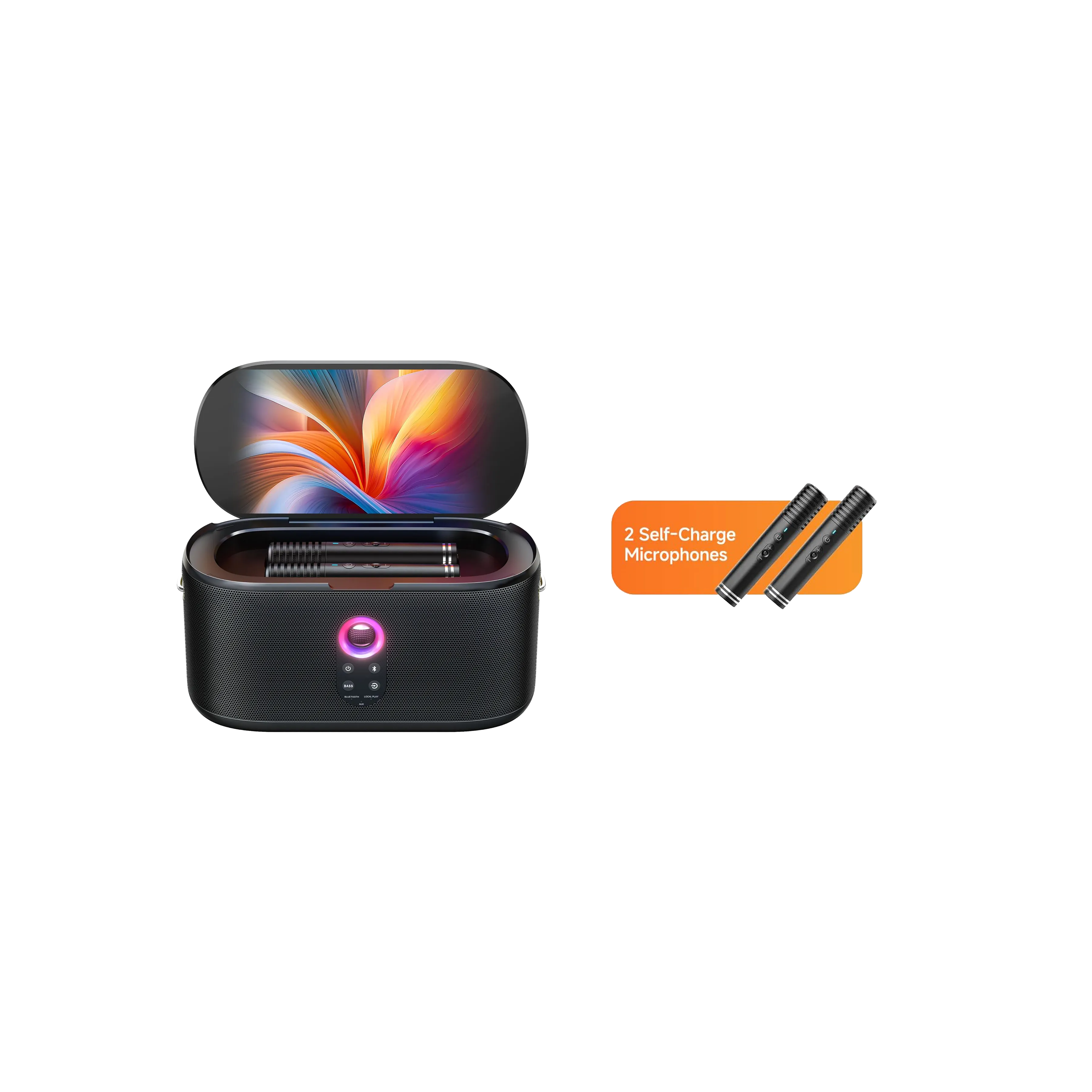 Basic Karaoke Package