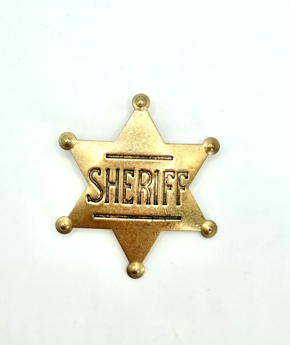 Sheriff Badge Pin
