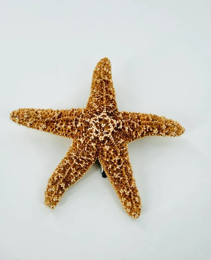 Starfish Hair Clip