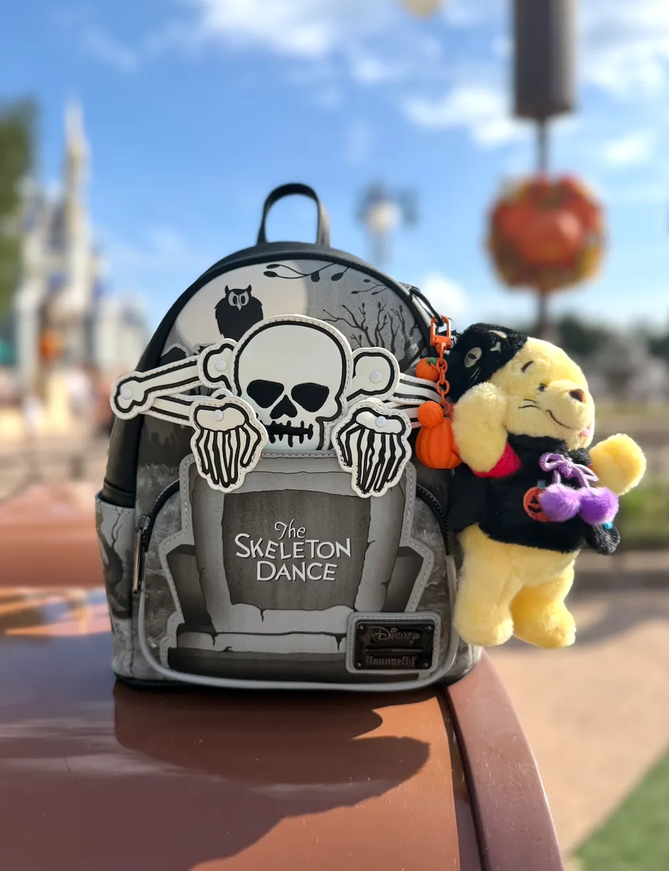 Winnie the Pooh Black Cat Plush Bag Charm
