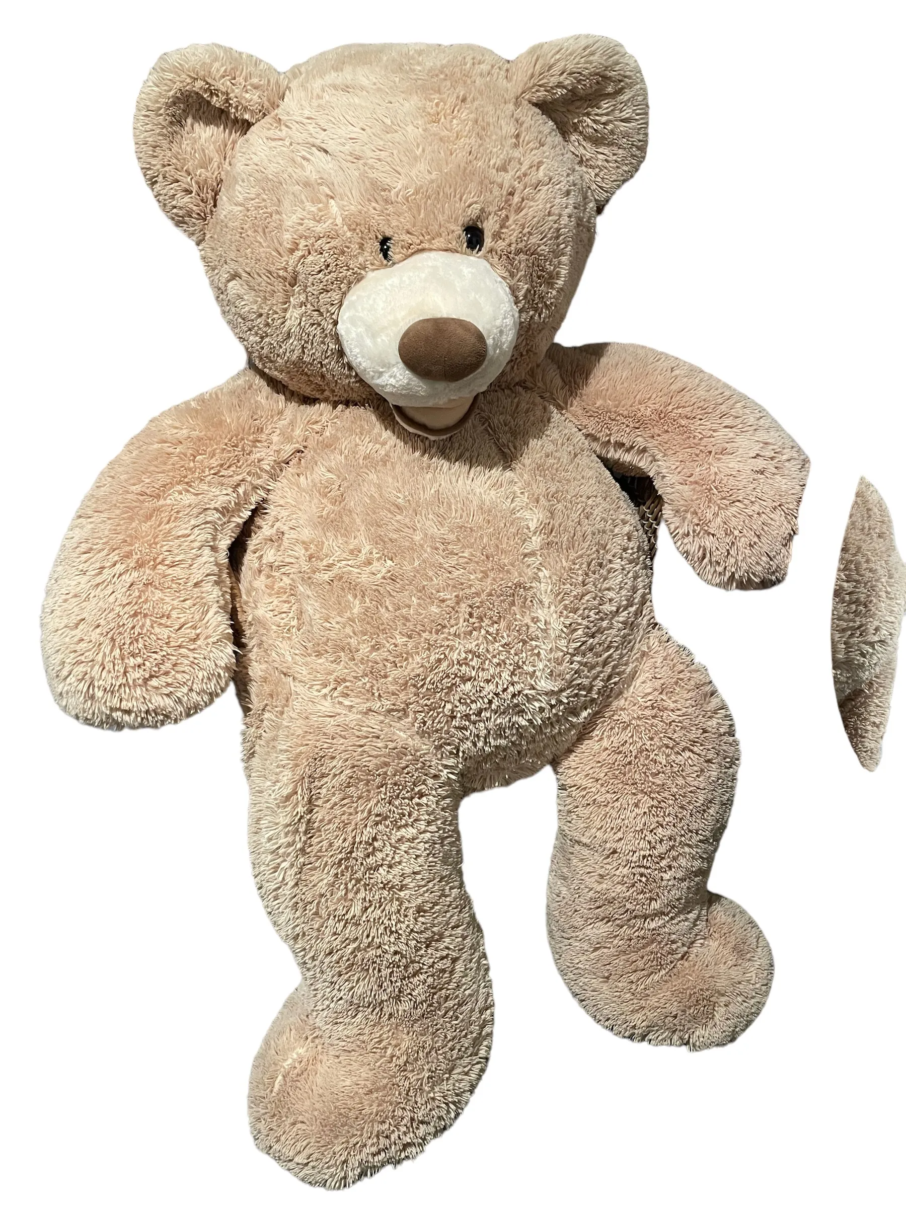 Kids collection image