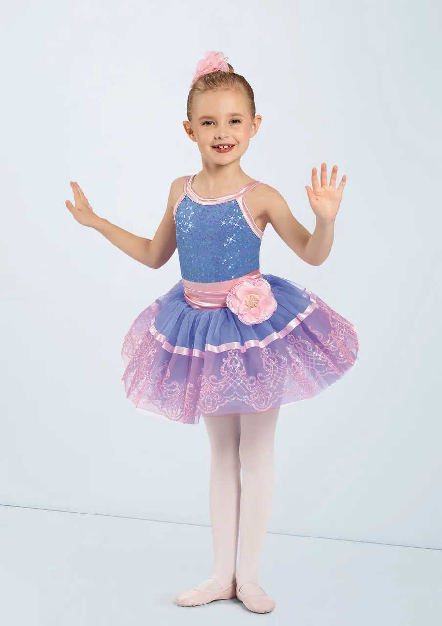 Blue & Pink Ballet Dress