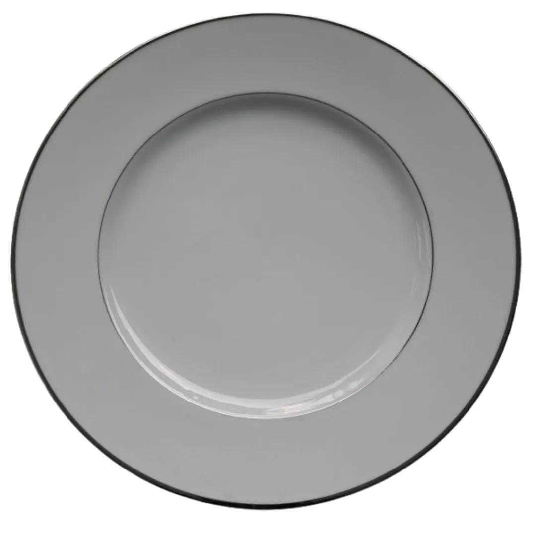 White with Silver 10" Plate