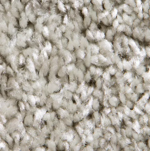 10' x 10' Carpet