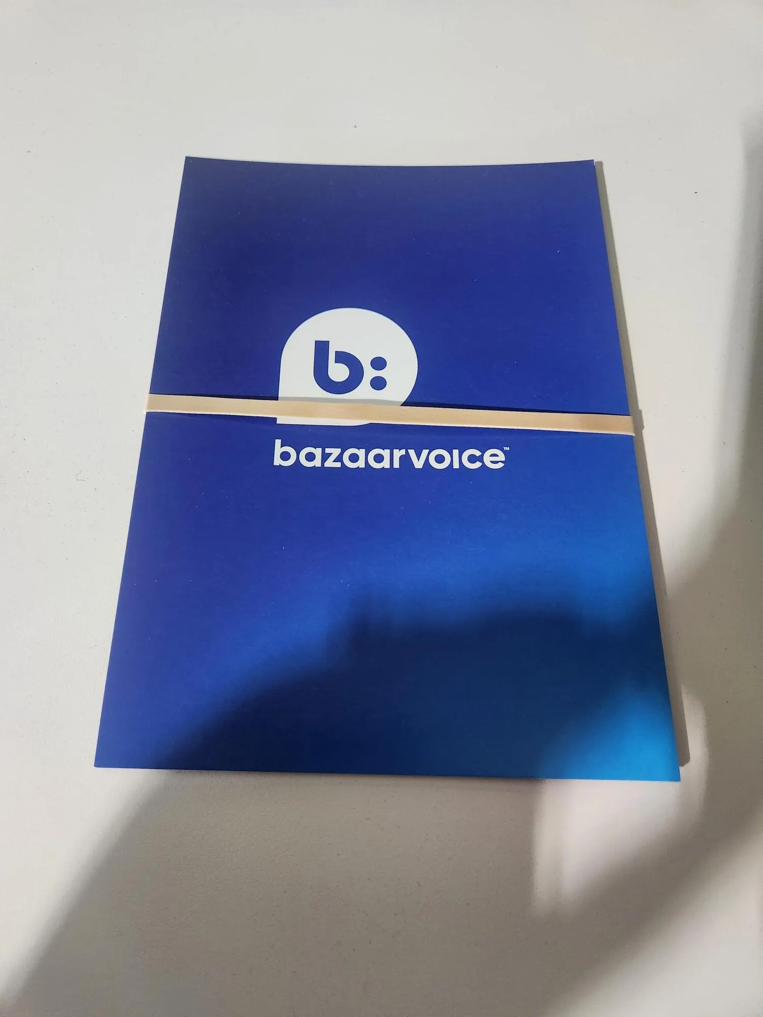 BV Voting Cards
