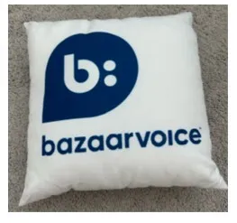 BV Throw Pillow
