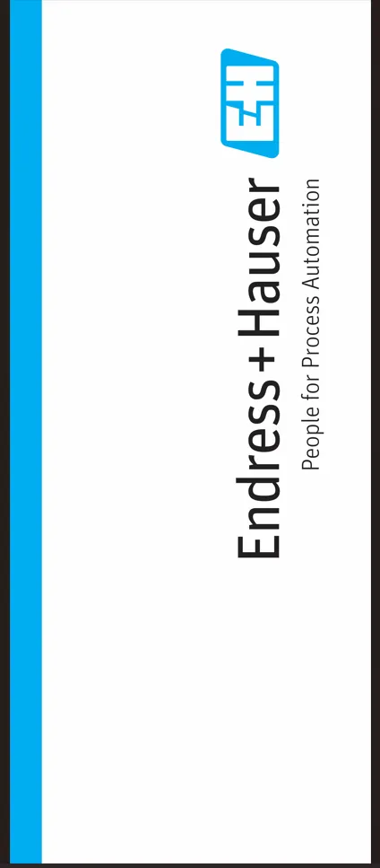 Endress + Hauser Banner