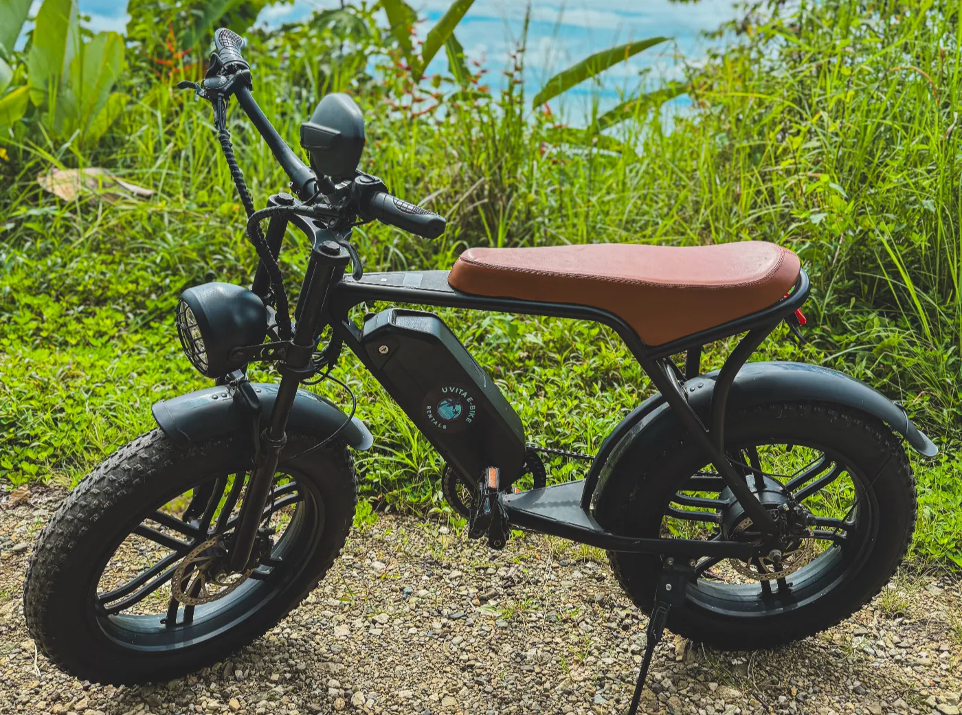 Howler Monkey Deluxe