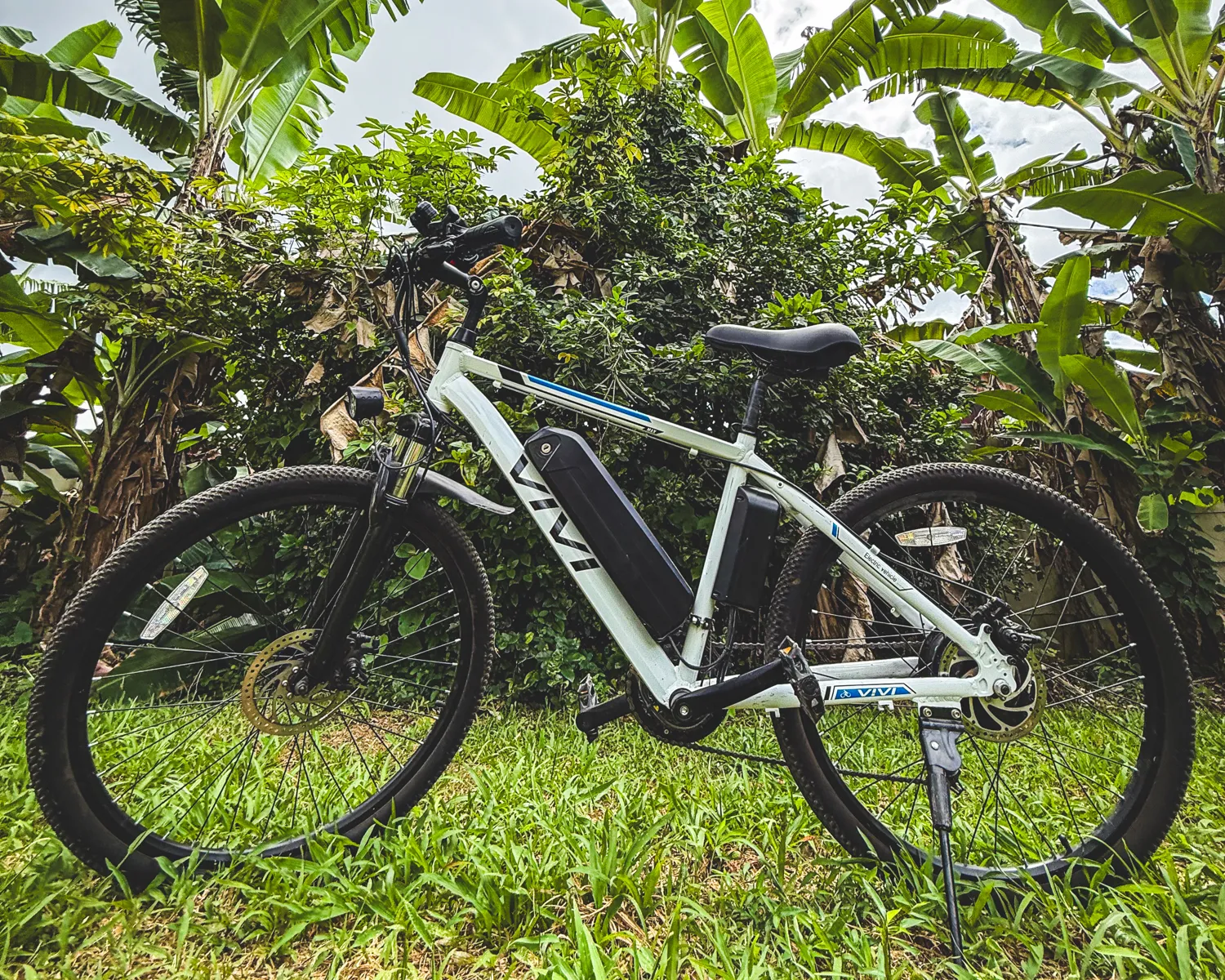 Vivi E-Bike