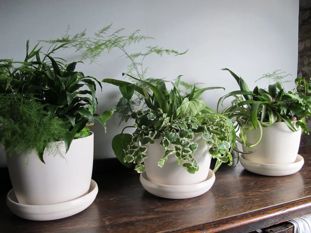 Dinner is Served - Lush & Leafy Menu