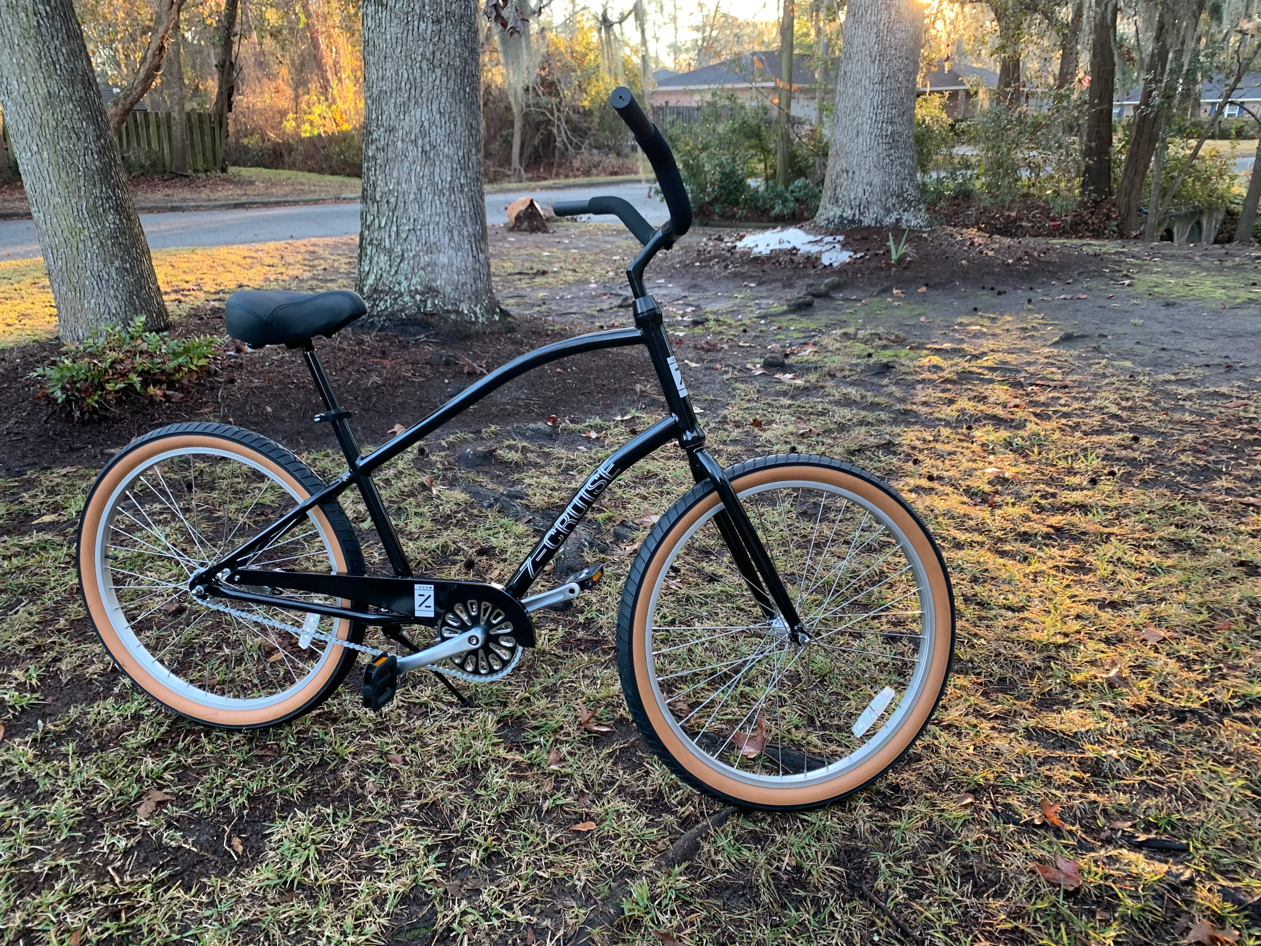 26 Inch Z-Cruiser Step over