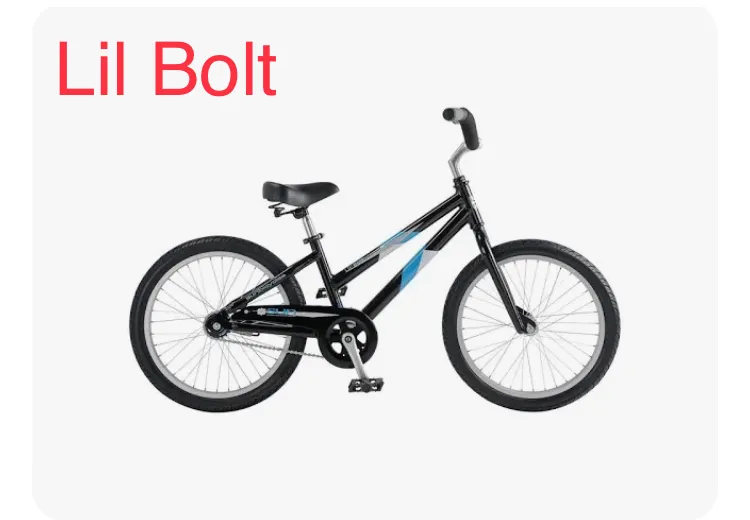 20 Inch Kids Bike