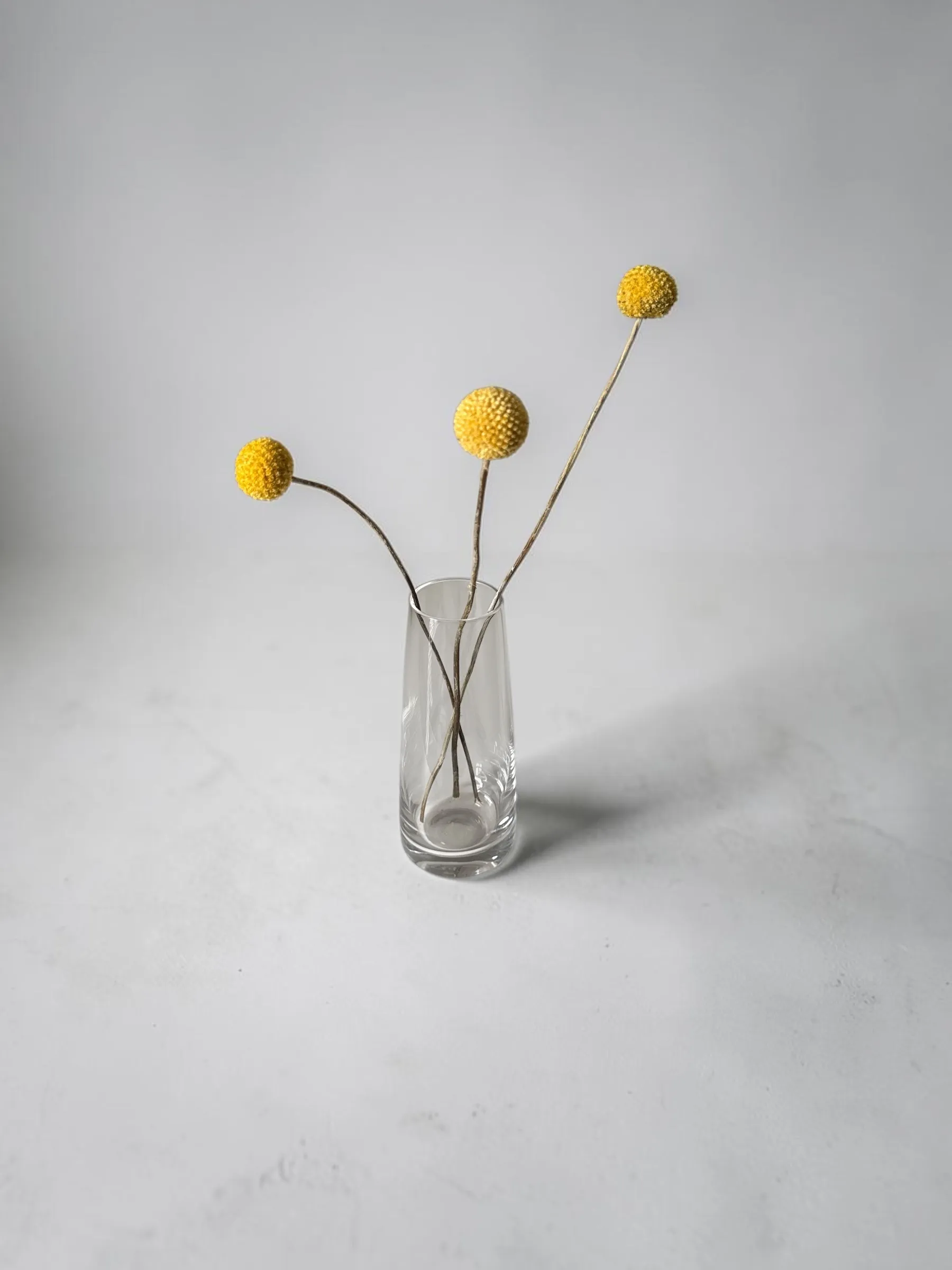 Billy Buttons 3stem