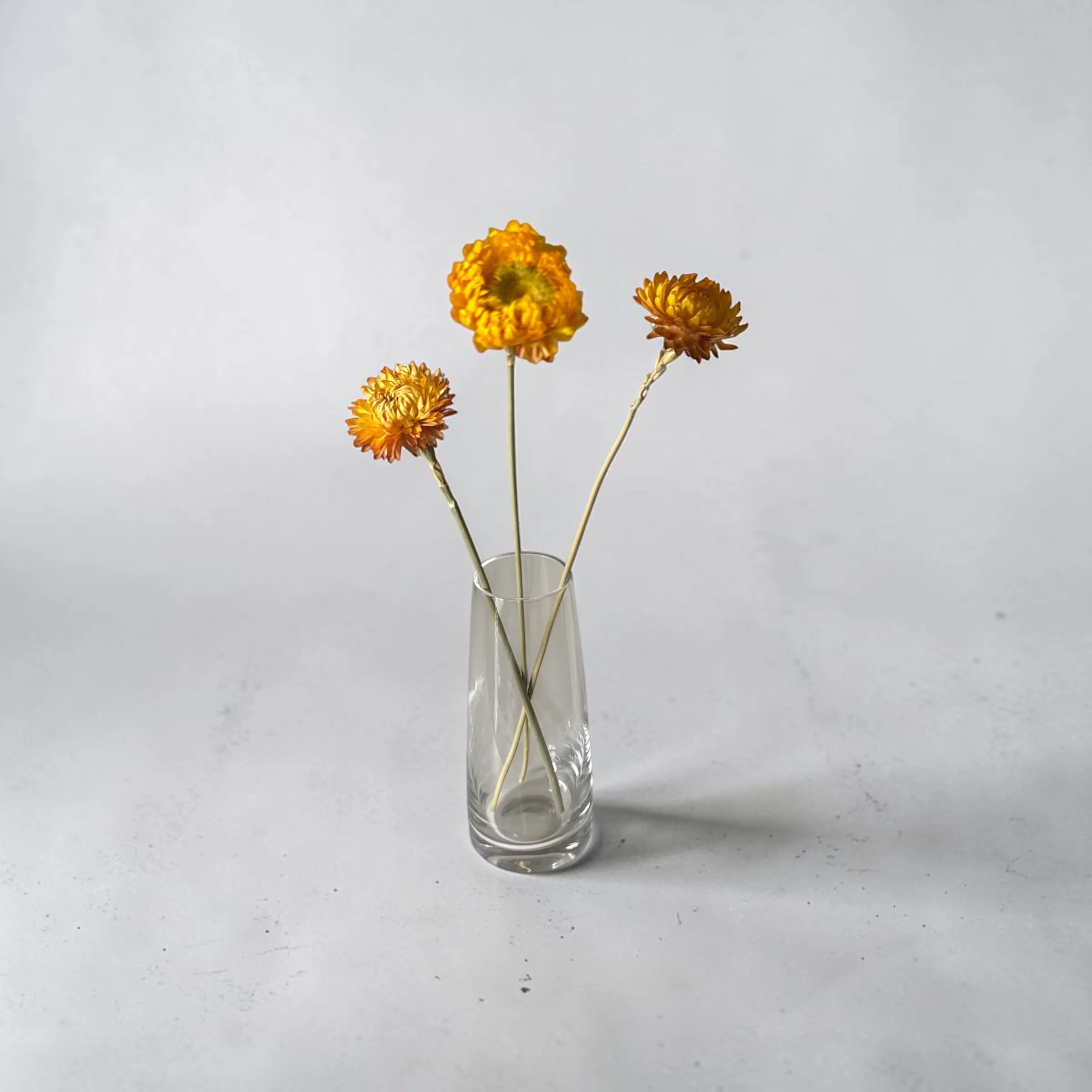 Yellow Straw Flower 3stem