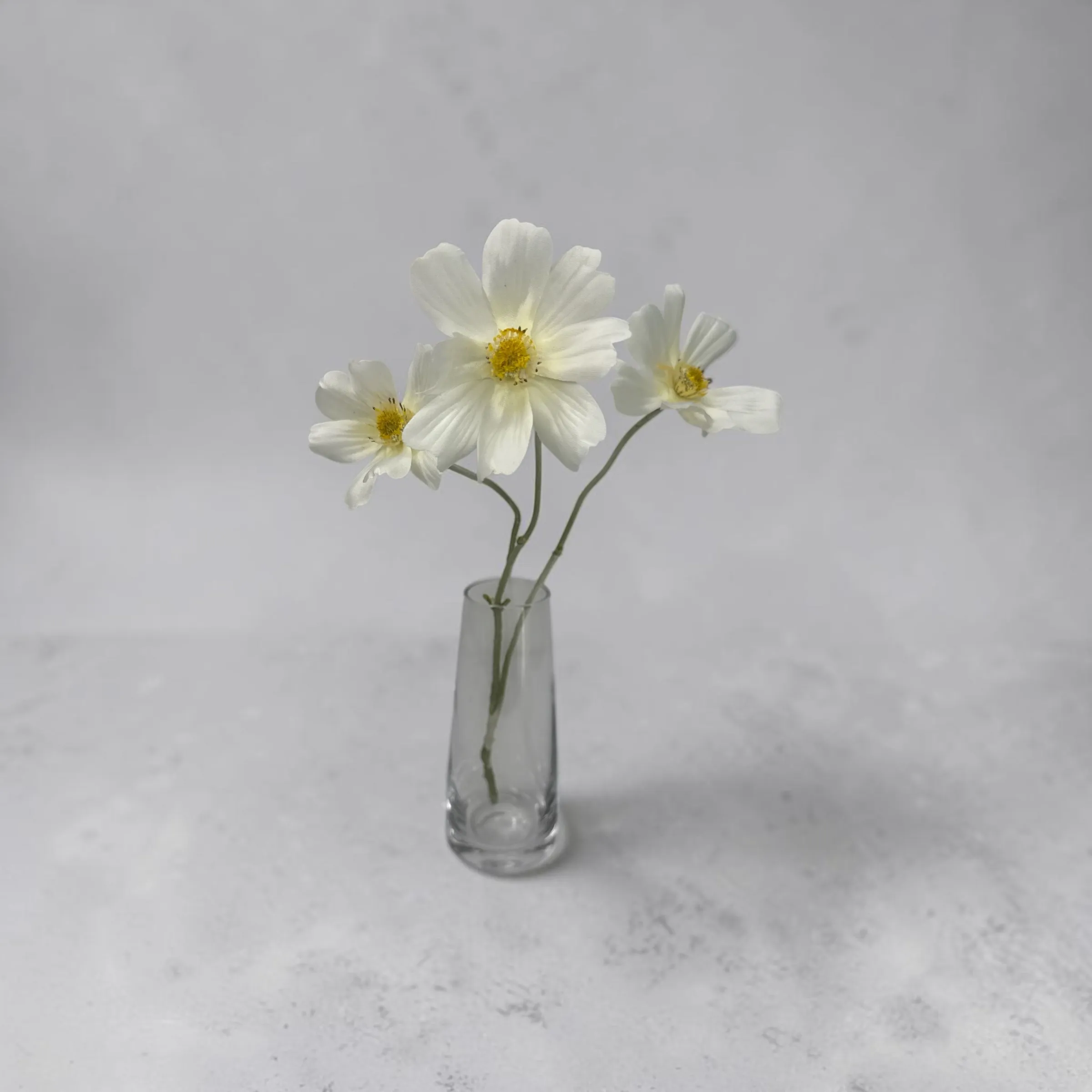Faux White Cosmos