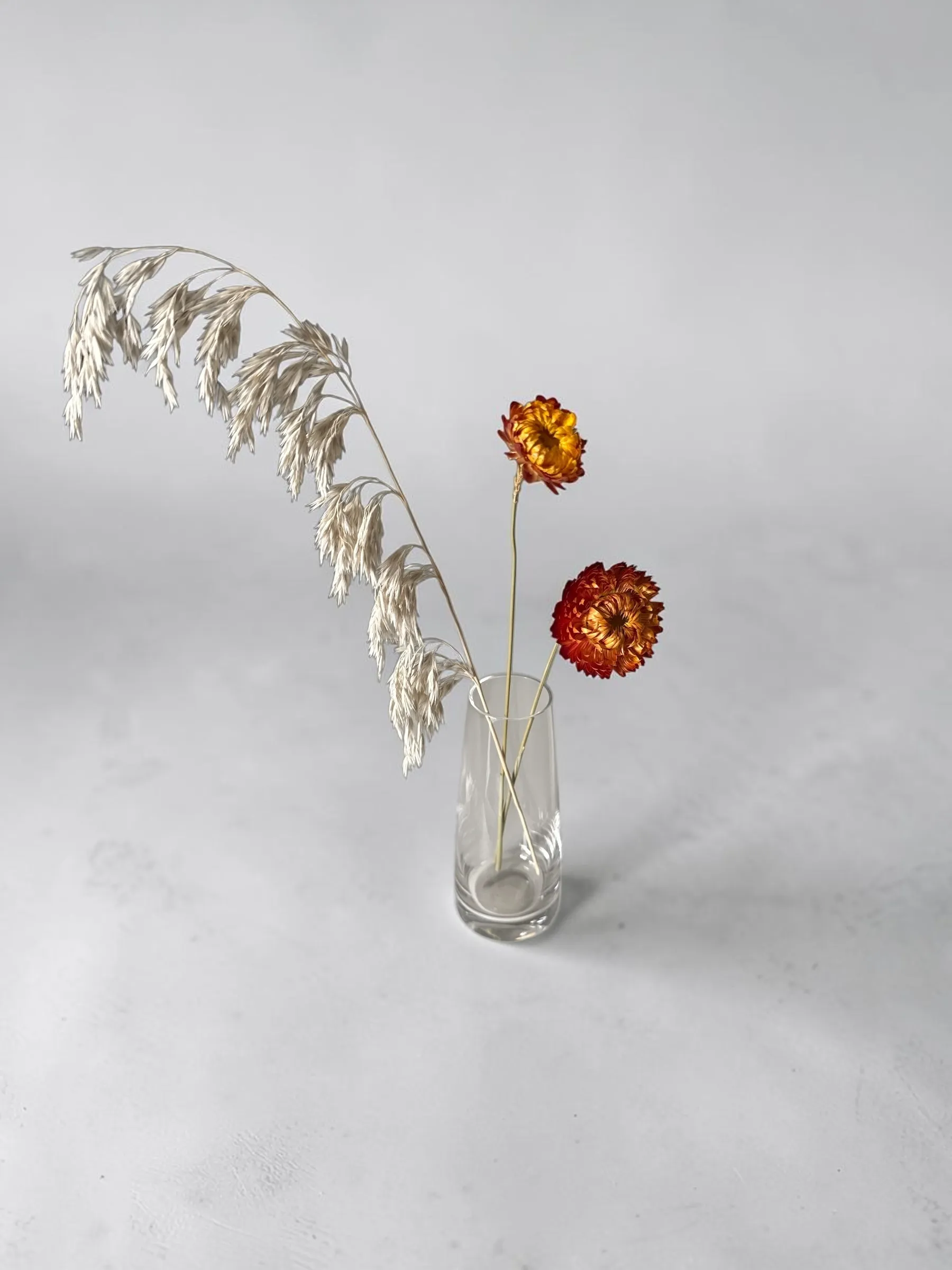 Grass and Burgundy Straw Flower 3stem