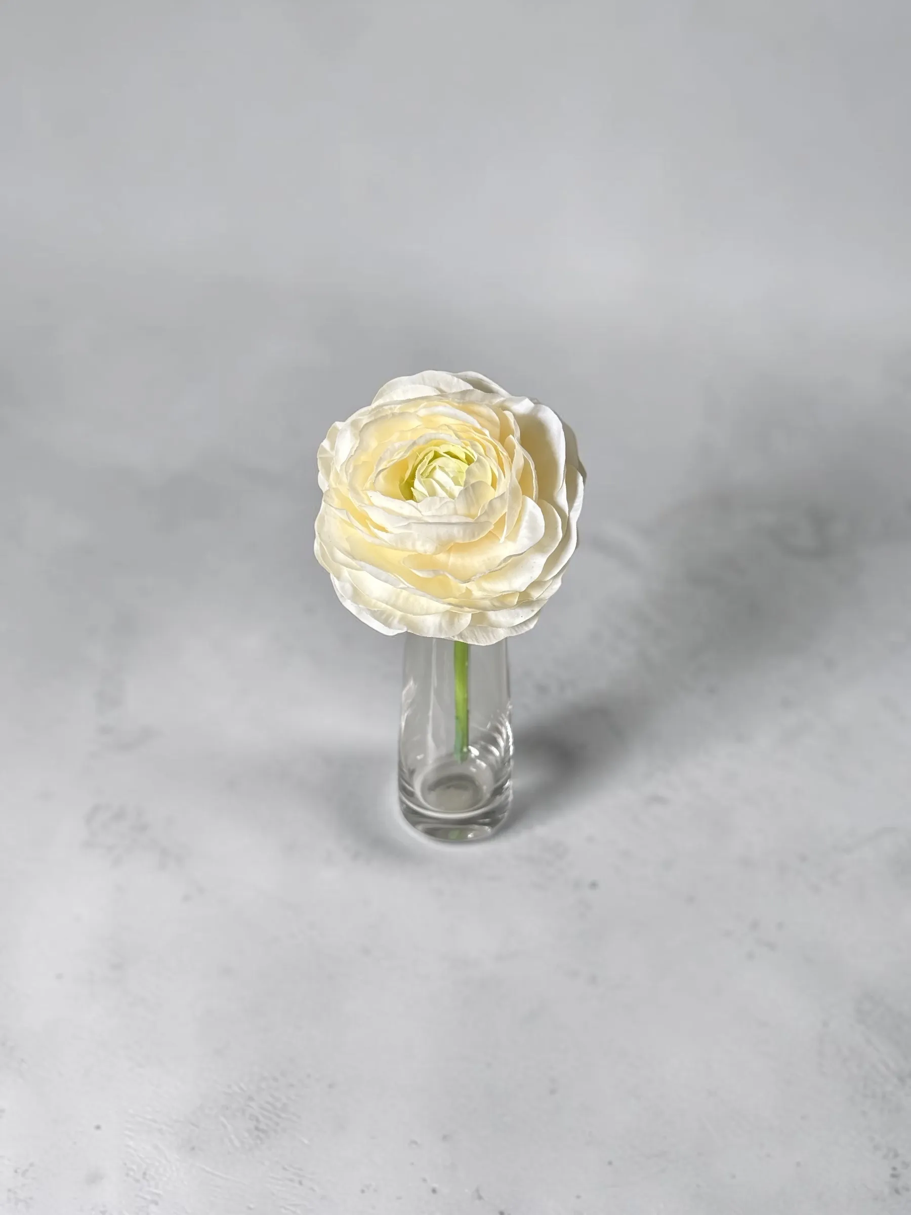 Light Yellow Ranunculus