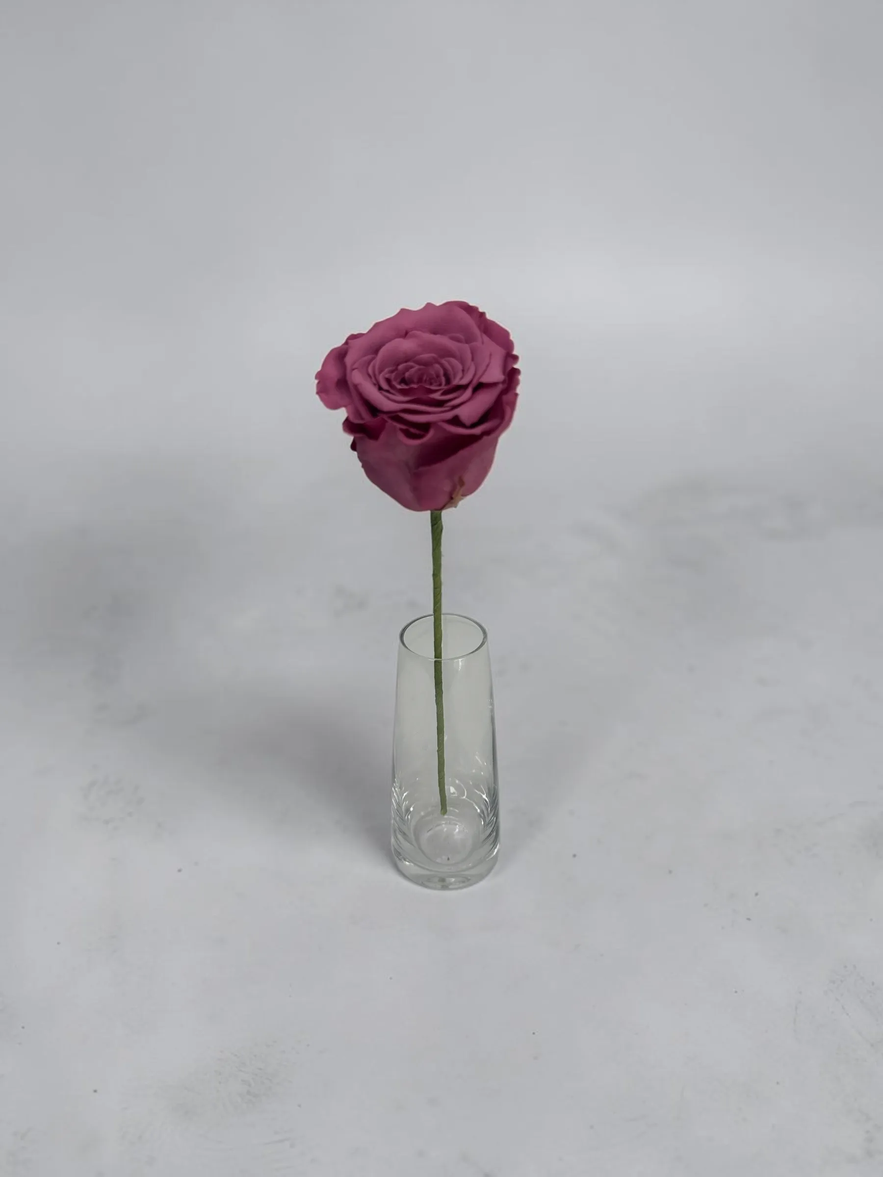 Preserved Rose Dusty Rose 