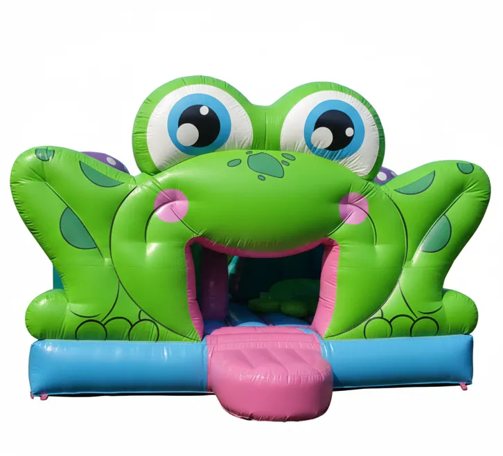 Froggy Fun Bouncer