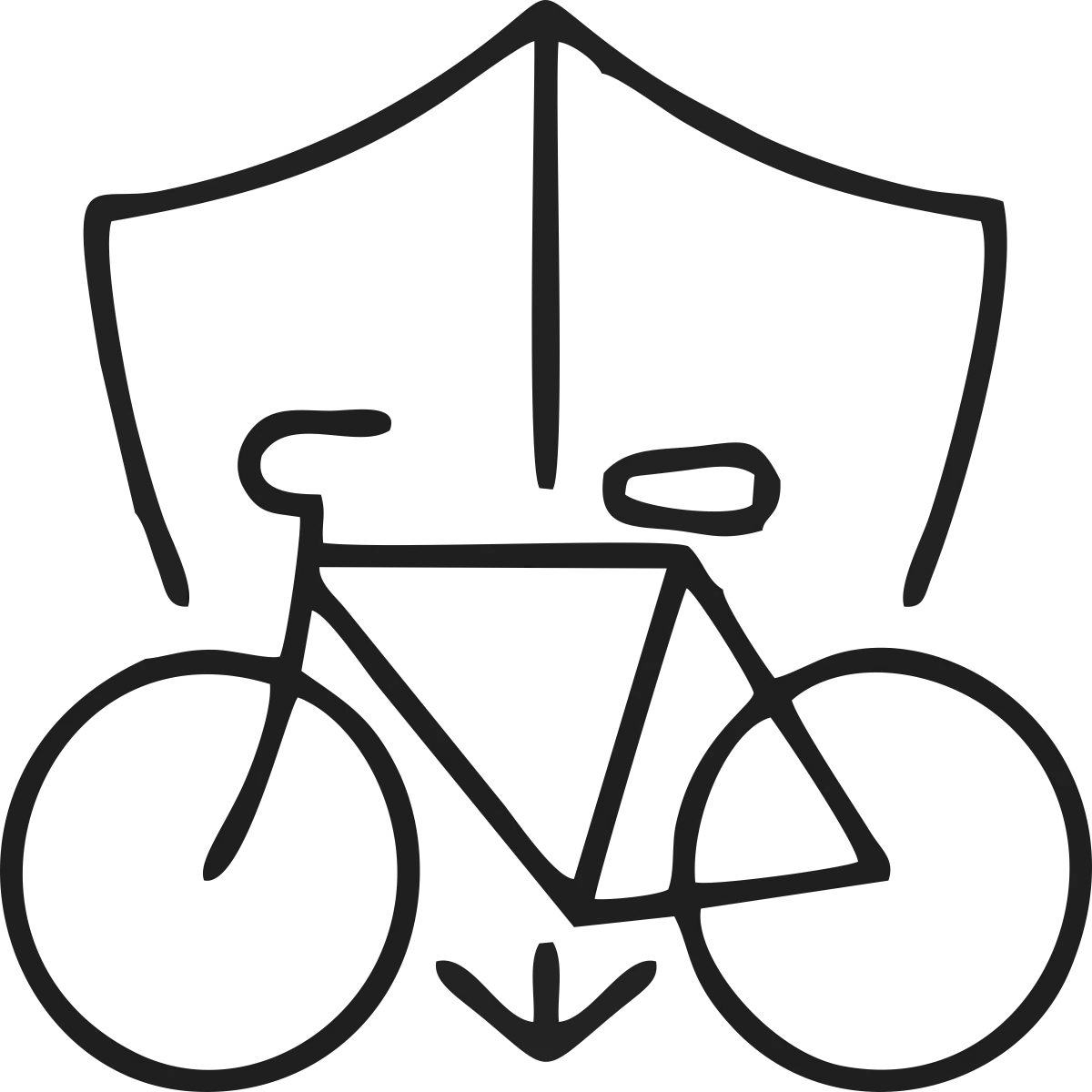 Bicycle Protection Plan