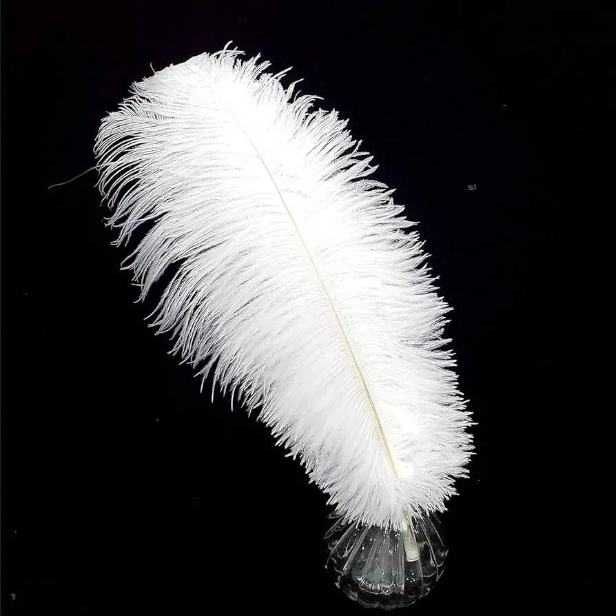 Feathers 16"-18" White